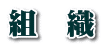 組　織